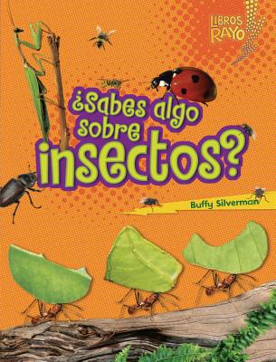 Insects, Spiders, Etc.